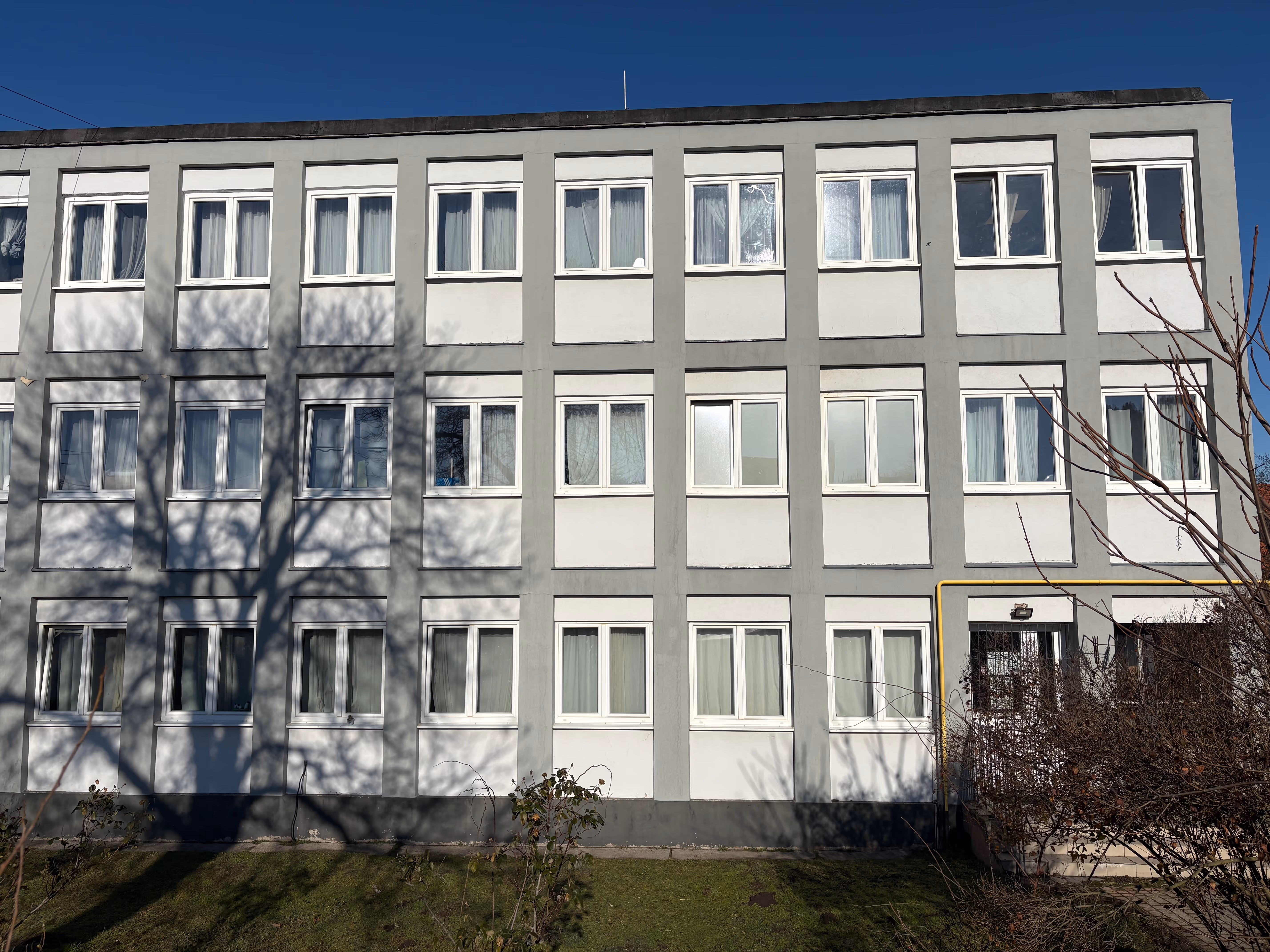 Tata – Gesztenye fasor – külső kép